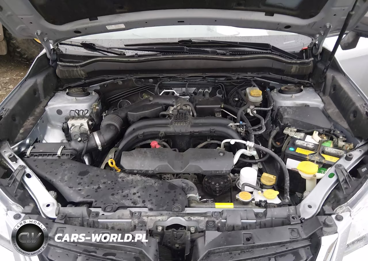 2017 Subaru Forester 2.5I VIN:JF2SJAAC2HH566678 - 10