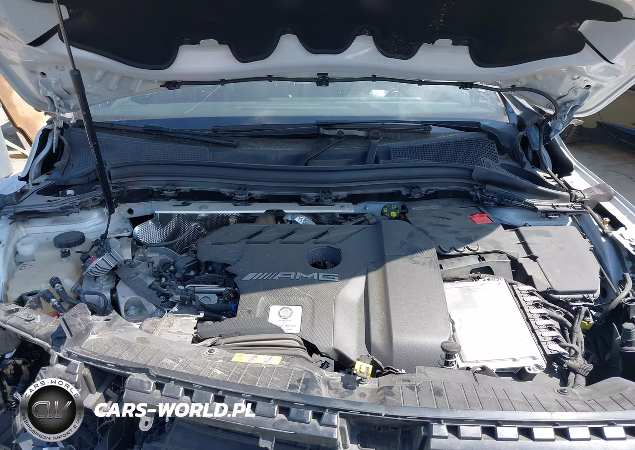 2023 Mercedes-Benz Amg Gla 45 4Matic VIN:W1N4N5DB1PJ474502 - 10