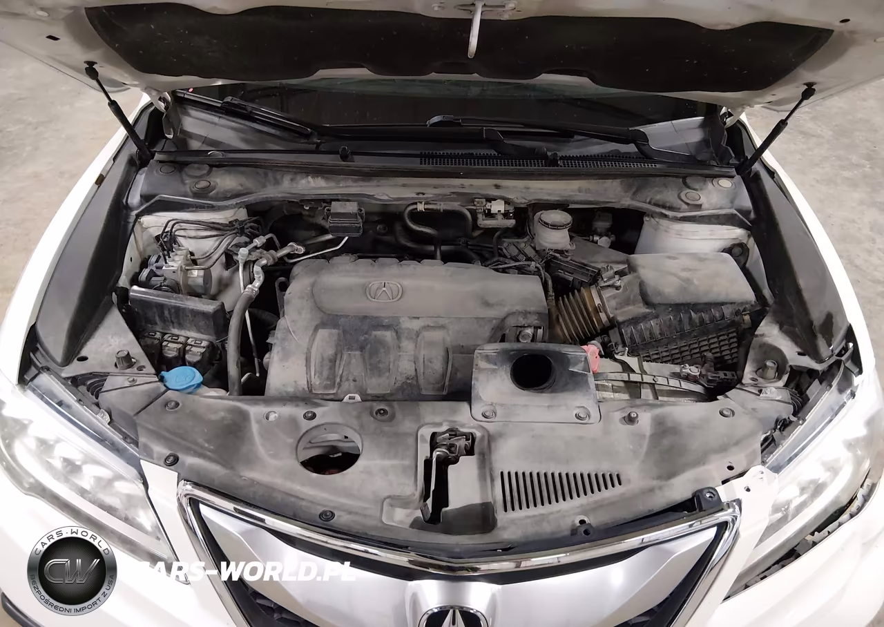 2017 Acura Rdx Acurawatch Plus Package VIN:5J8TB4H39HL003164 - 10