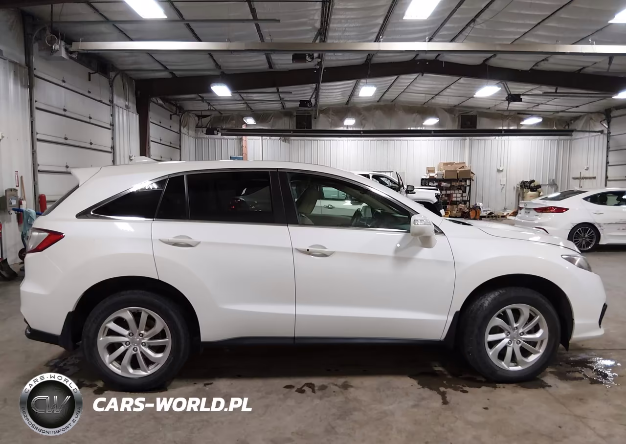 2017 Acura Rdx Acurawatch Plus Package VIN:5J8TB4H39HL003164 - 13