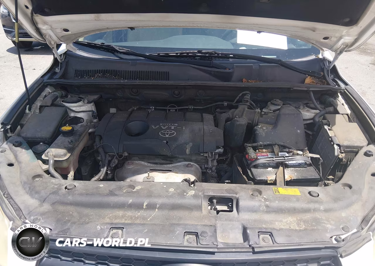 2009 Toyota Rav4 VIN:JTMZF33V19D005163 - 10