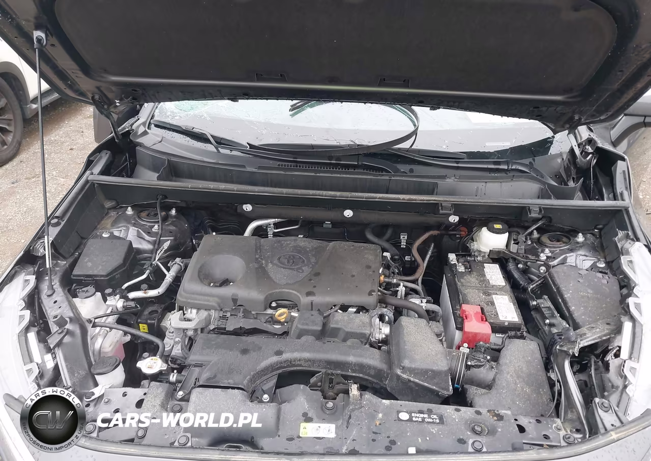 2024 Toyota Rav4 Xle VIN:2T3P1RFV0RC480747 - 10