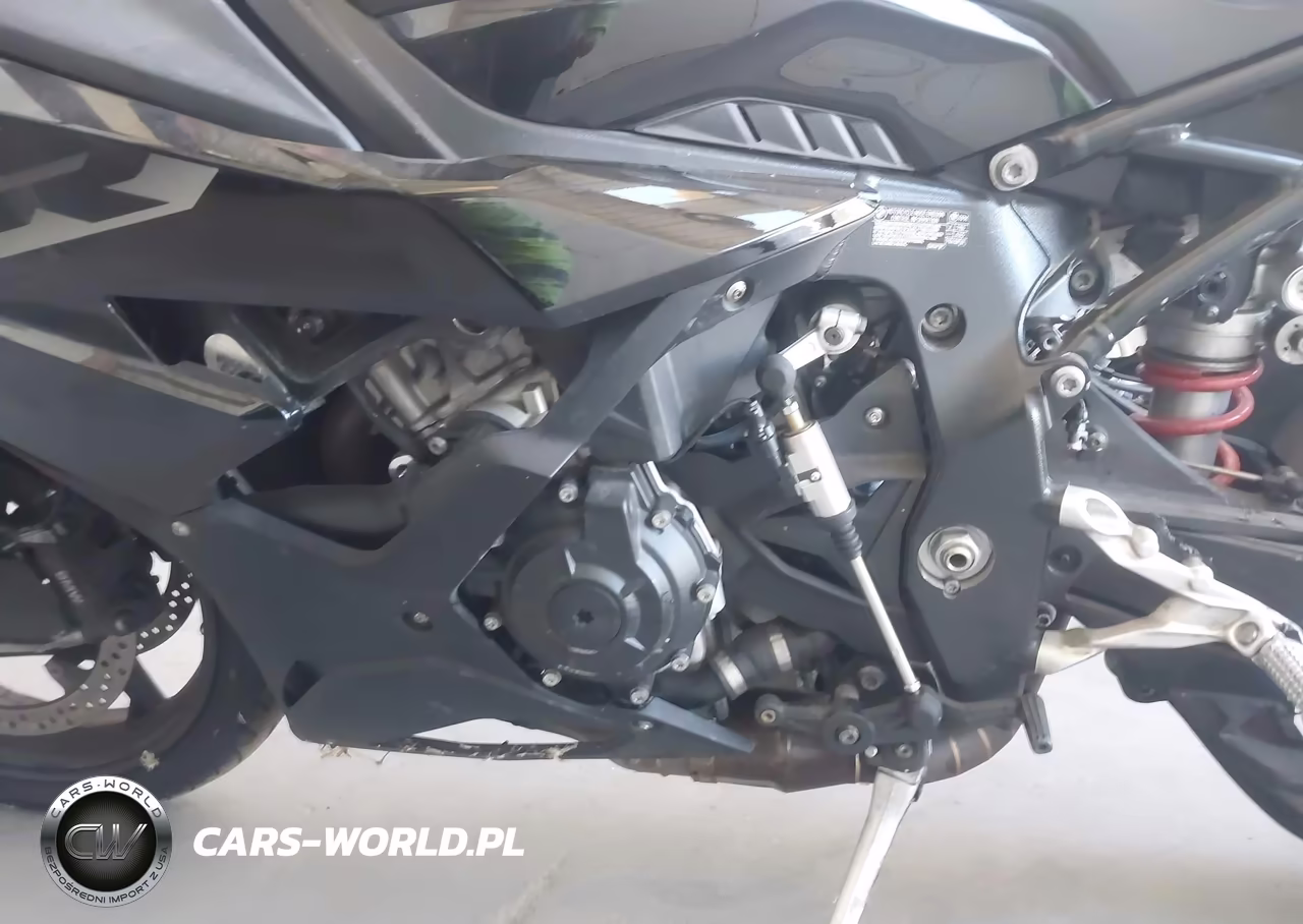 2026 BMW S 1000 Rr VIN:WB10P2304T6M29191 - 9