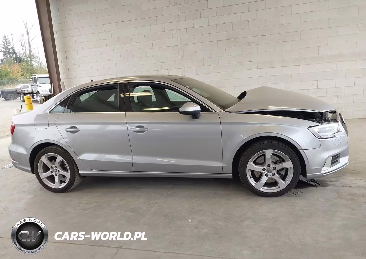 2019 Audi A3 40 Premium-40 Titanium Premium VIN:WAUAUGFF3KA097993 - 13