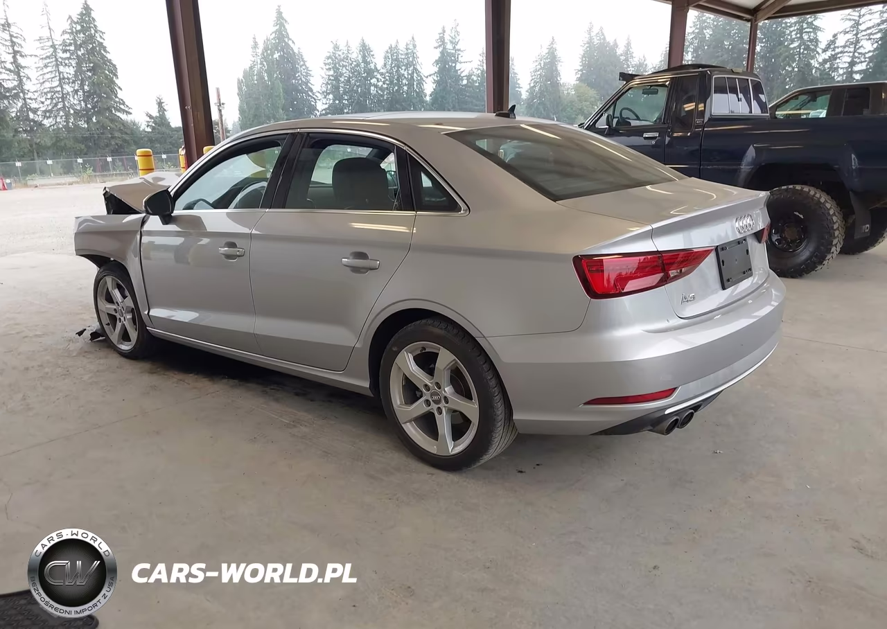 2019 Audi A3 40 Premium-40 Titanium Premium VIN:WAUAUGFF3KA097993 - 3