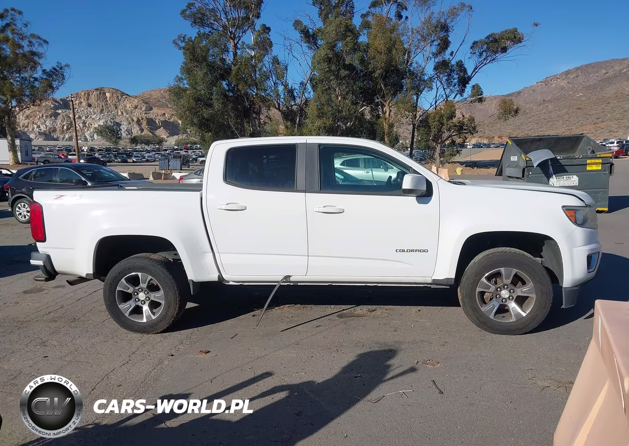 2016 Chevrolet Colorado 2Wd Z71 VIN:1GCGSDE30G1251074 - 13