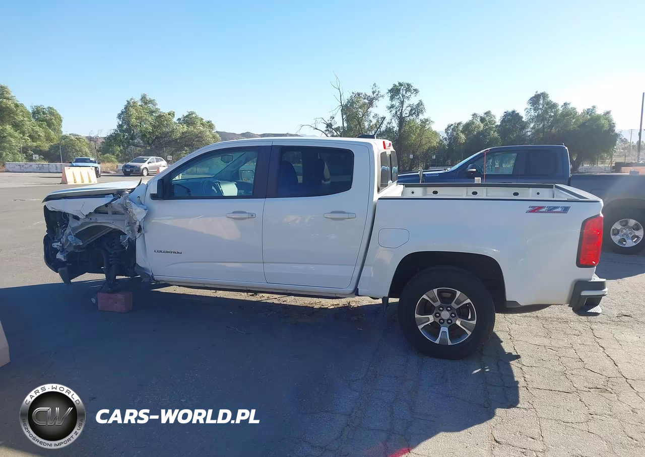 2016 Chevrolet Colorado 2Wd Z71 VIN:1GCGSDE30G1251074 - 14