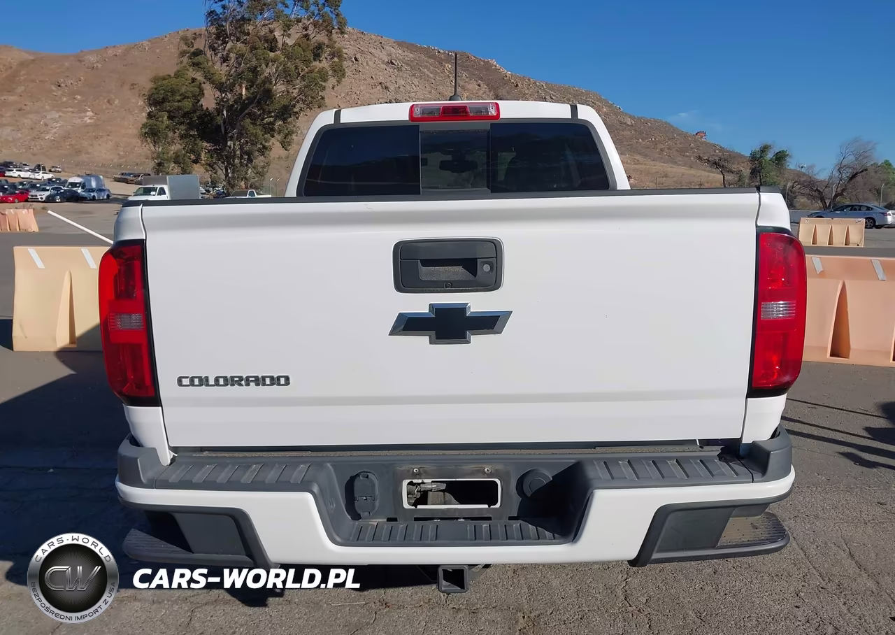 2016 Chevrolet Colorado 2Wd Z71 VIN:1GCGSDE30G1251074 - 16