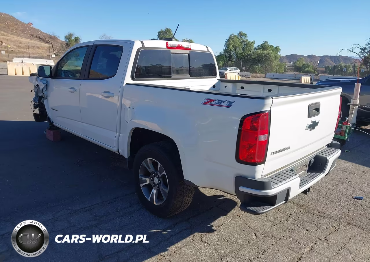 2016 Chevrolet Colorado 2Wd Z71 VIN:1GCGSDE30G1251074 - 3