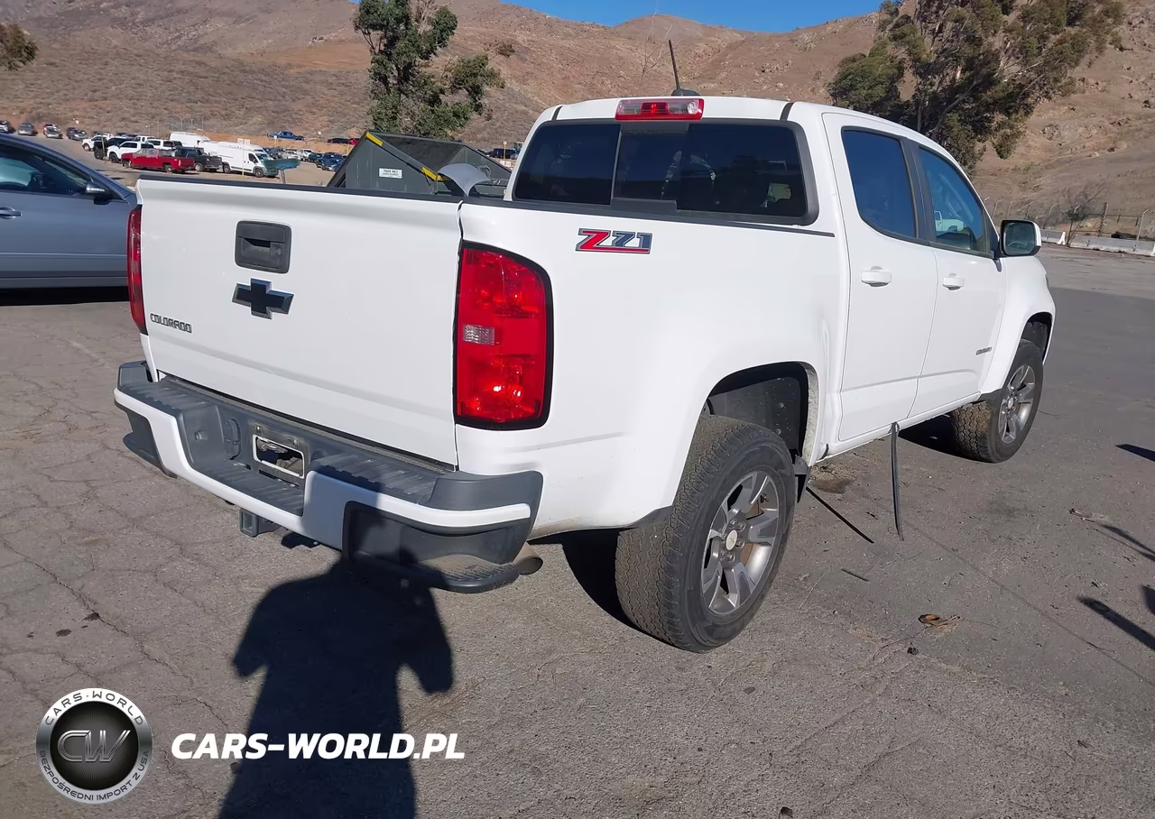 2016 Chevrolet Colorado 2Wd Z71 VIN:1GCGSDE30G1251074 - 4
