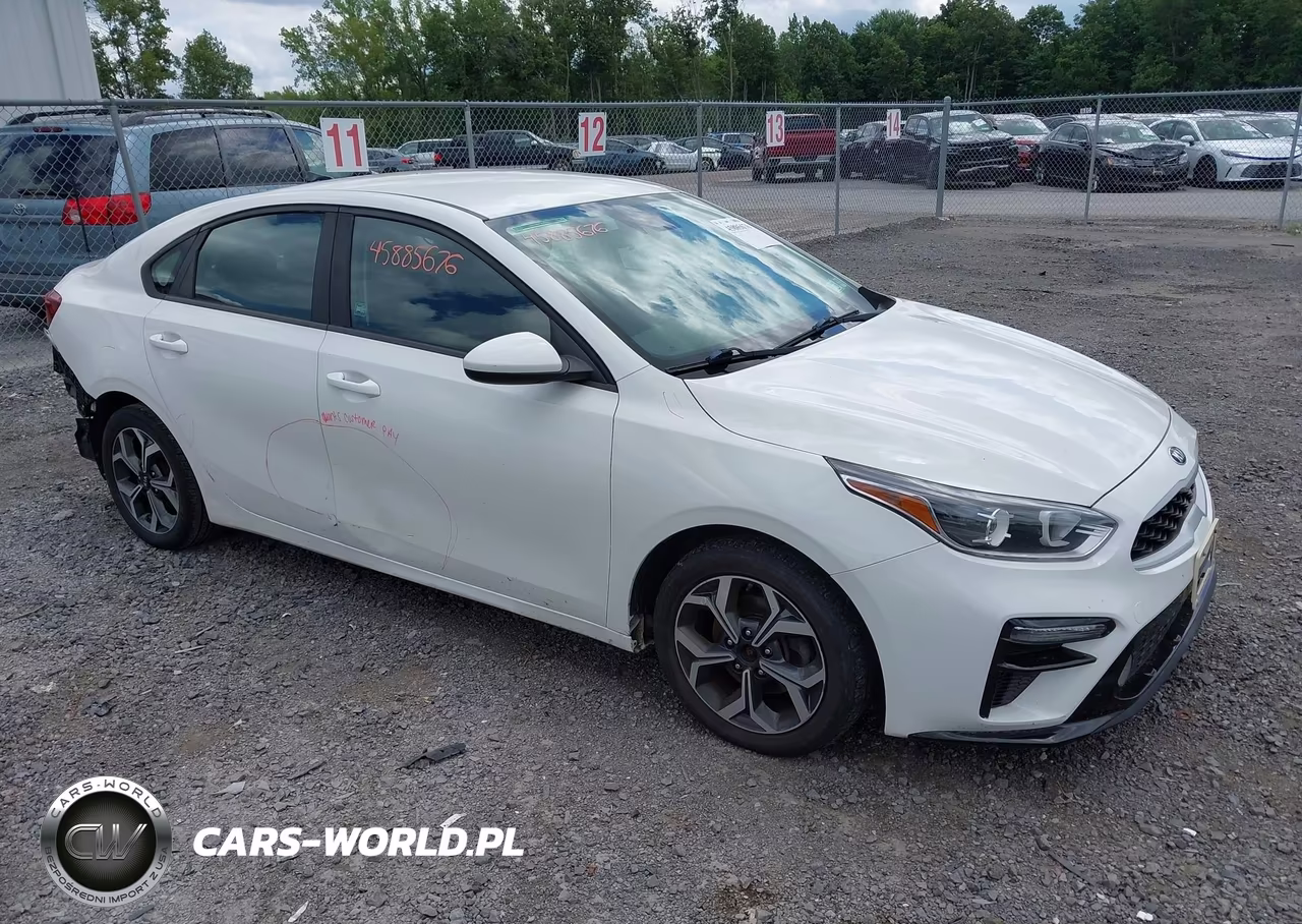 2019 Kia Forte Lxs