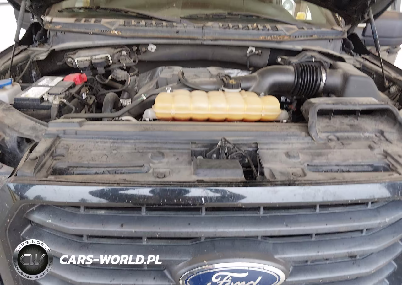 2017 Ford F-150 Xl VIN:1FTEX1EP7HFC13114 - 10