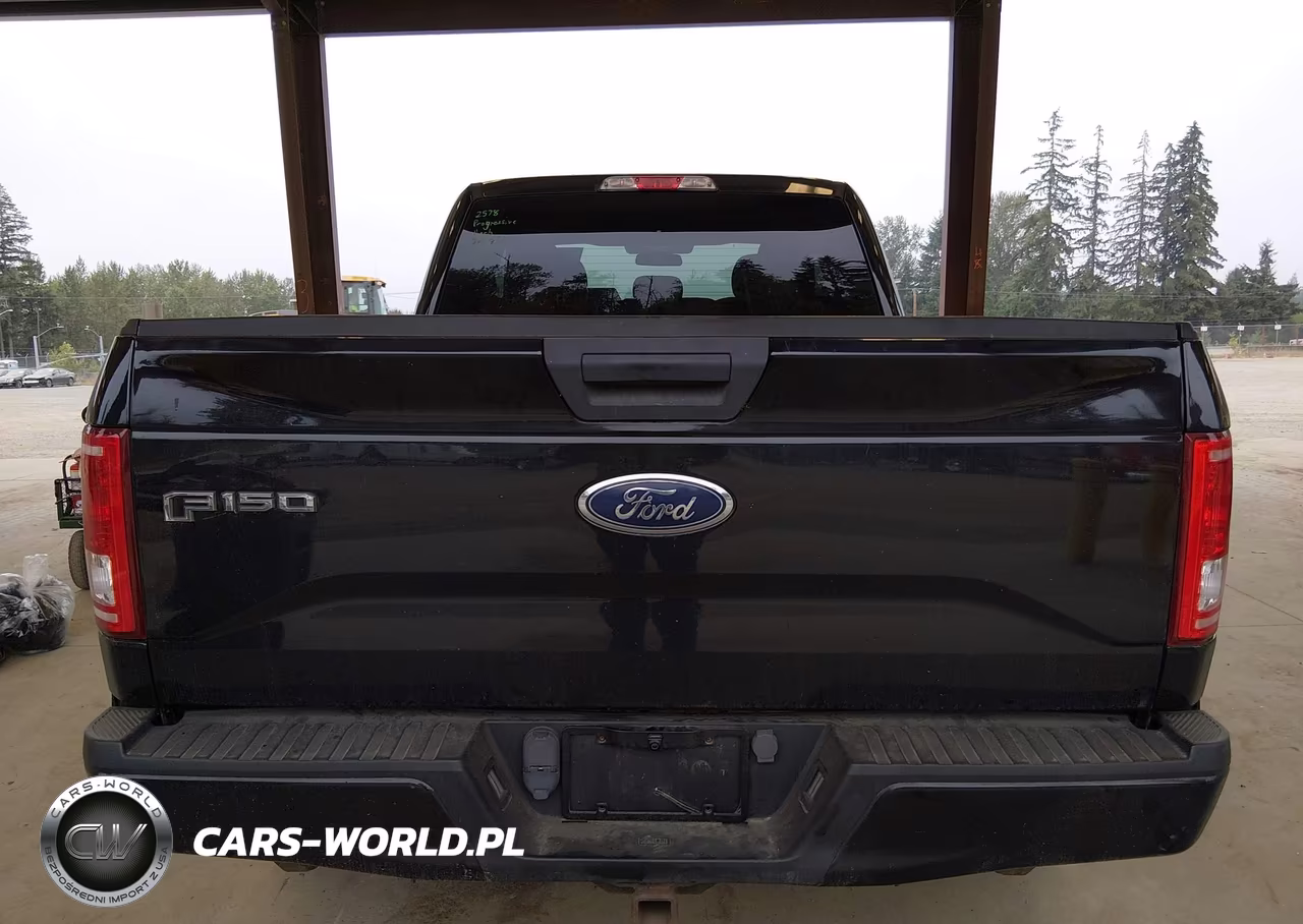 2017 Ford F-150 Xl VIN:1FTEX1EP7HFC13114 - 17