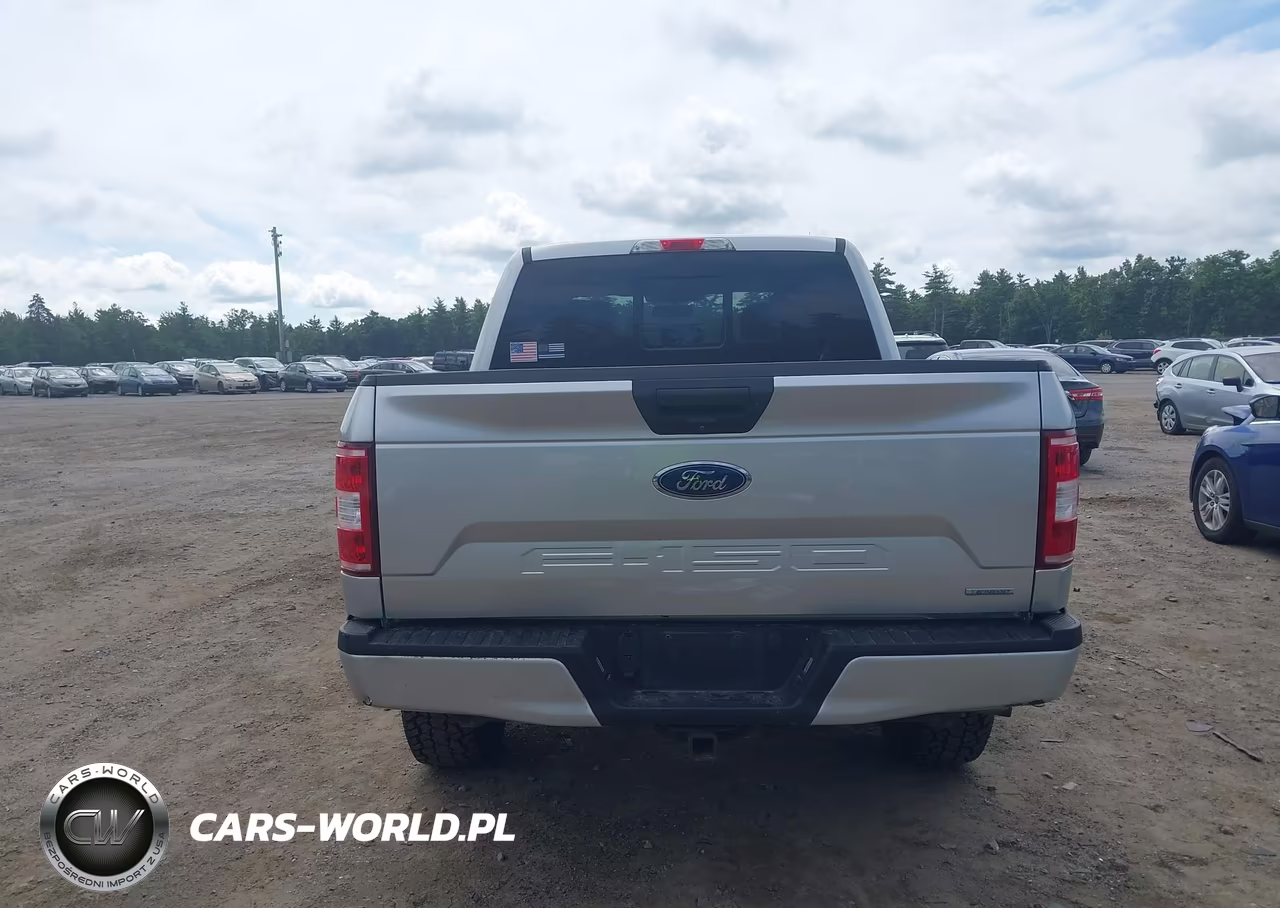 2019 Ford F-150 Xlt VIN:1FTEW1EP1KFB87619 - 17
