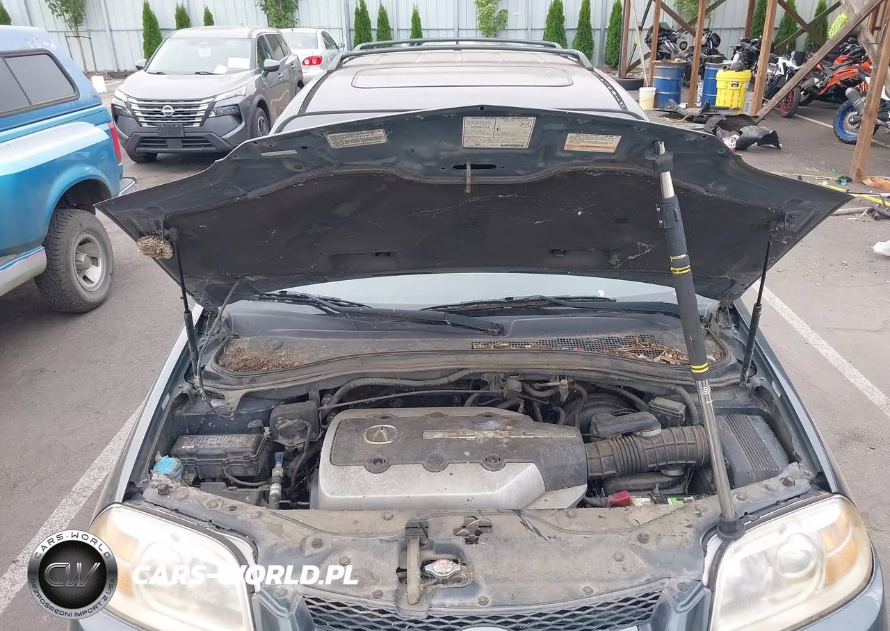 2004 Acura Mdx VIN:2HNYD188X4H501643 - 10