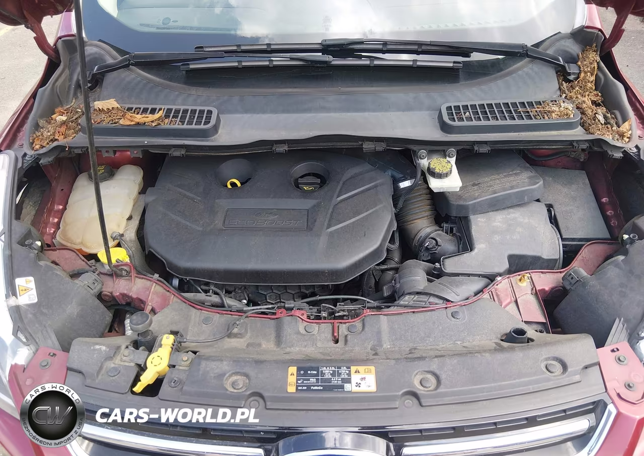2014 Ford Escape Titanium VIN:1FMCU9J90EUC64768 - 10