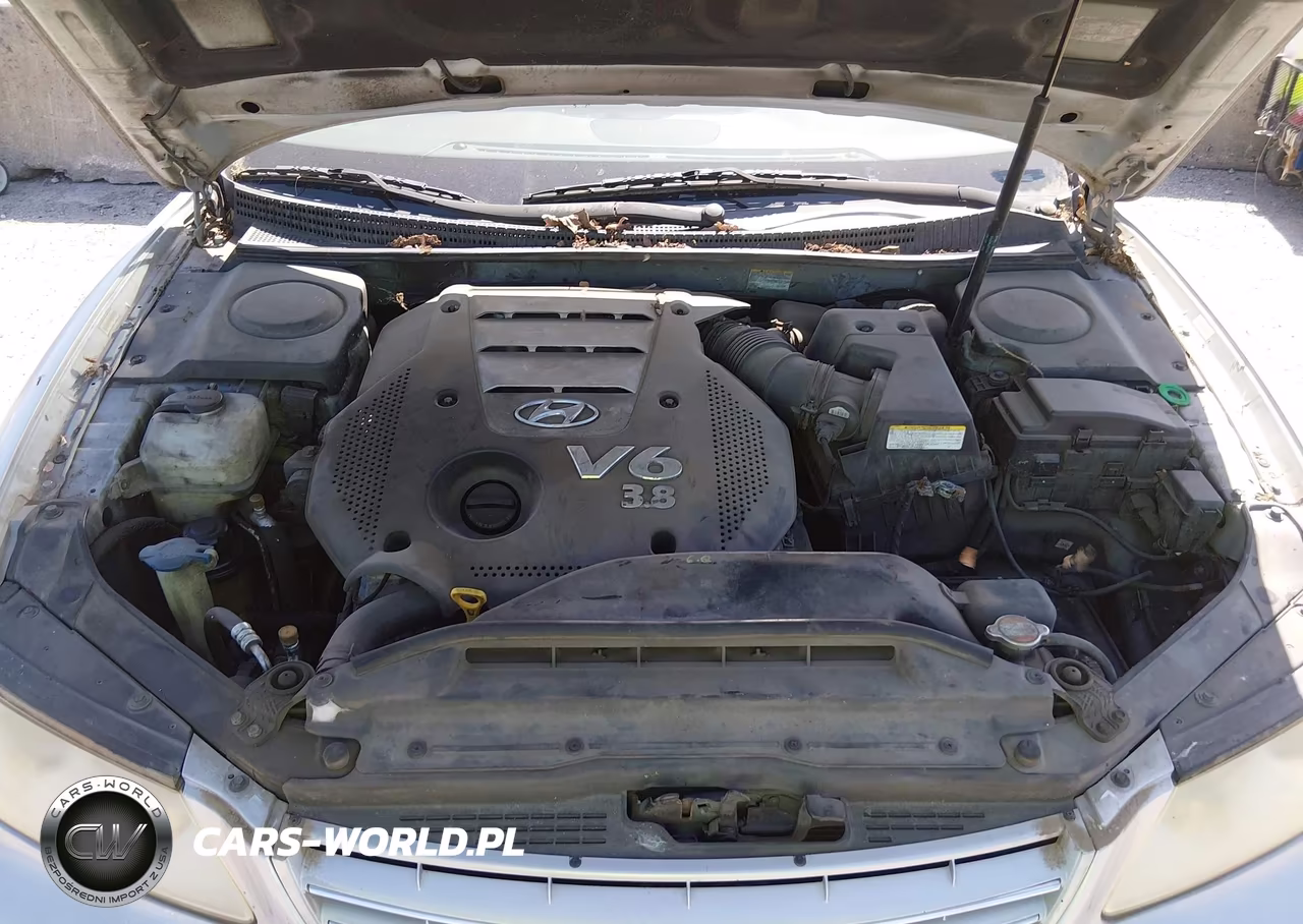 2008 Hyundai Azera Limited VIN:KMHFC46F18A256444 - 10