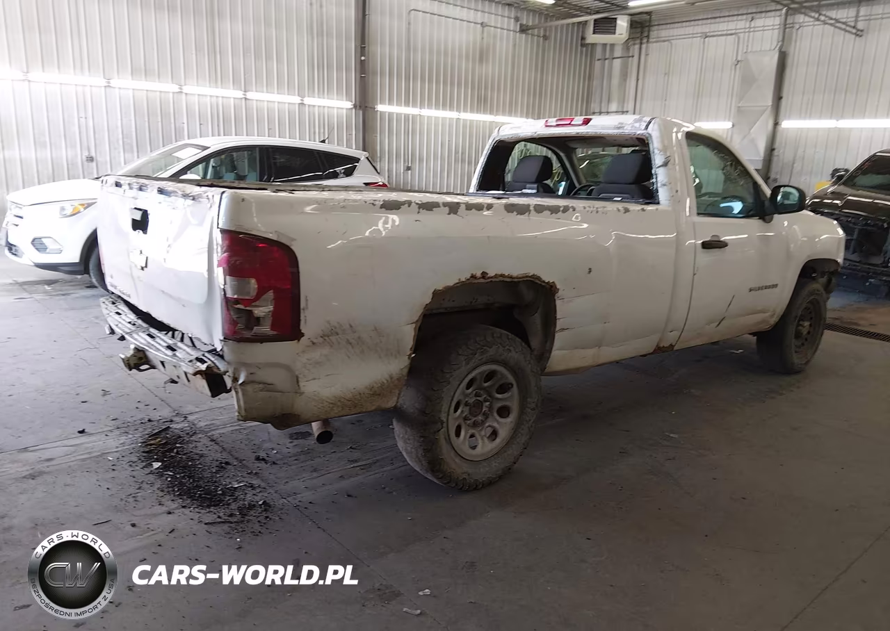 2013 Chevrolet Silverado 1500 Work Truck VIN:1GCNCPEX6DZ158727 - 4