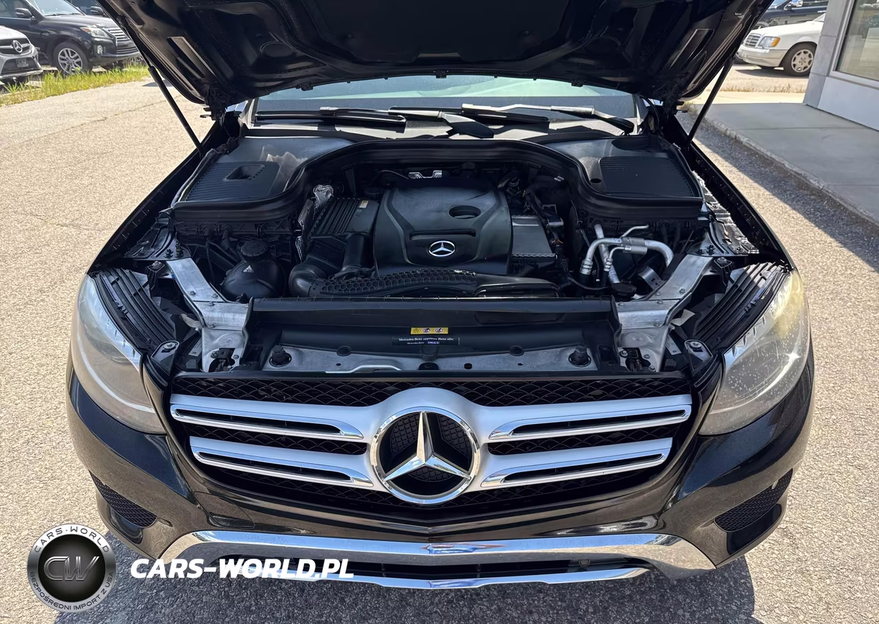 2017 Mercedes-Benz Glc 300 VIN:WDC0G4JB6HF140382 - 10