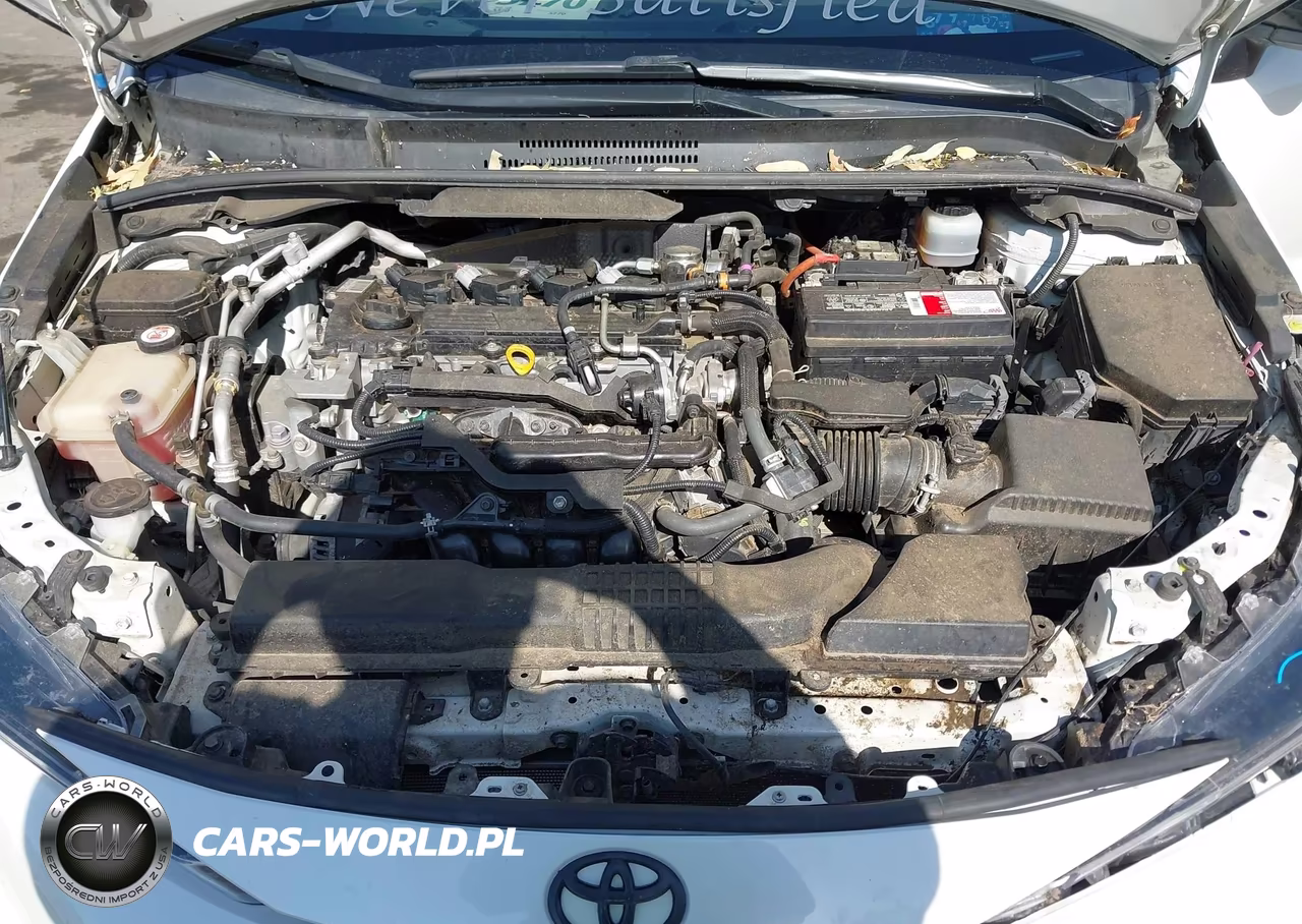 2020 Toyota Corolla Se VIN:JTDS4RCE2LJ040880 - 10