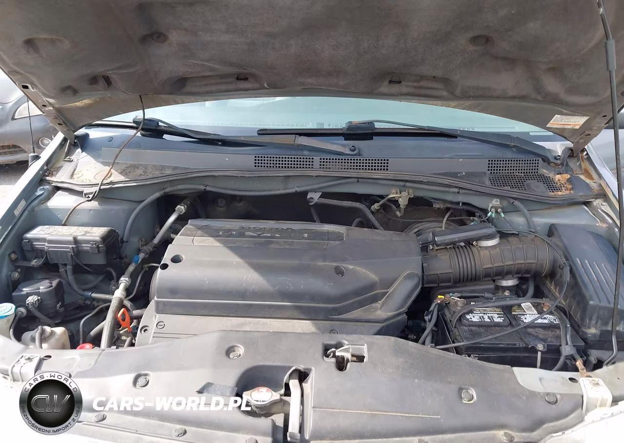 2002 Honda Odyssey Ex VIN:5FNRL186X2B011735 - 10