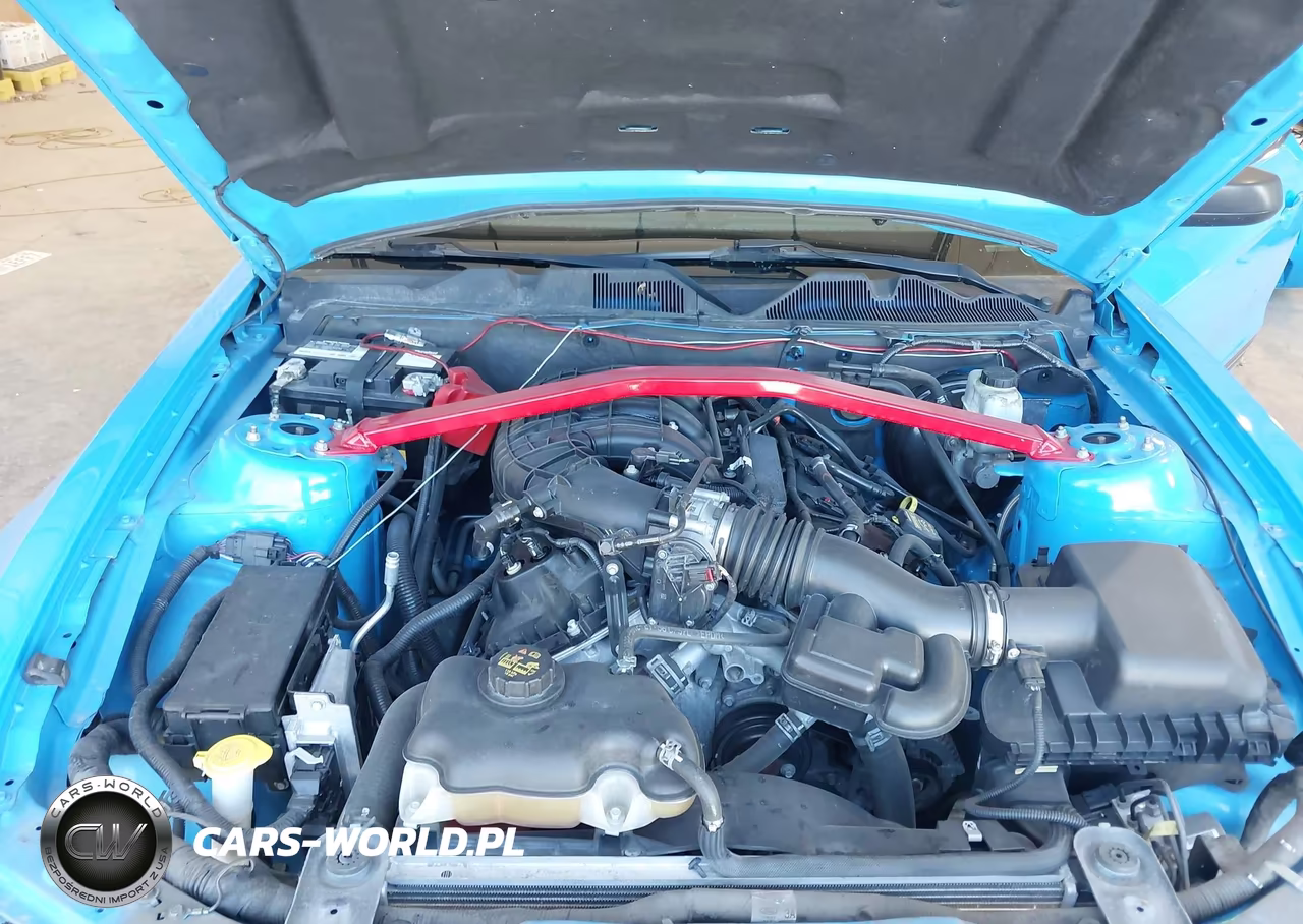2013 Ford Mustang V6 VIN:1ZVBP8EMXD5219780 - 10