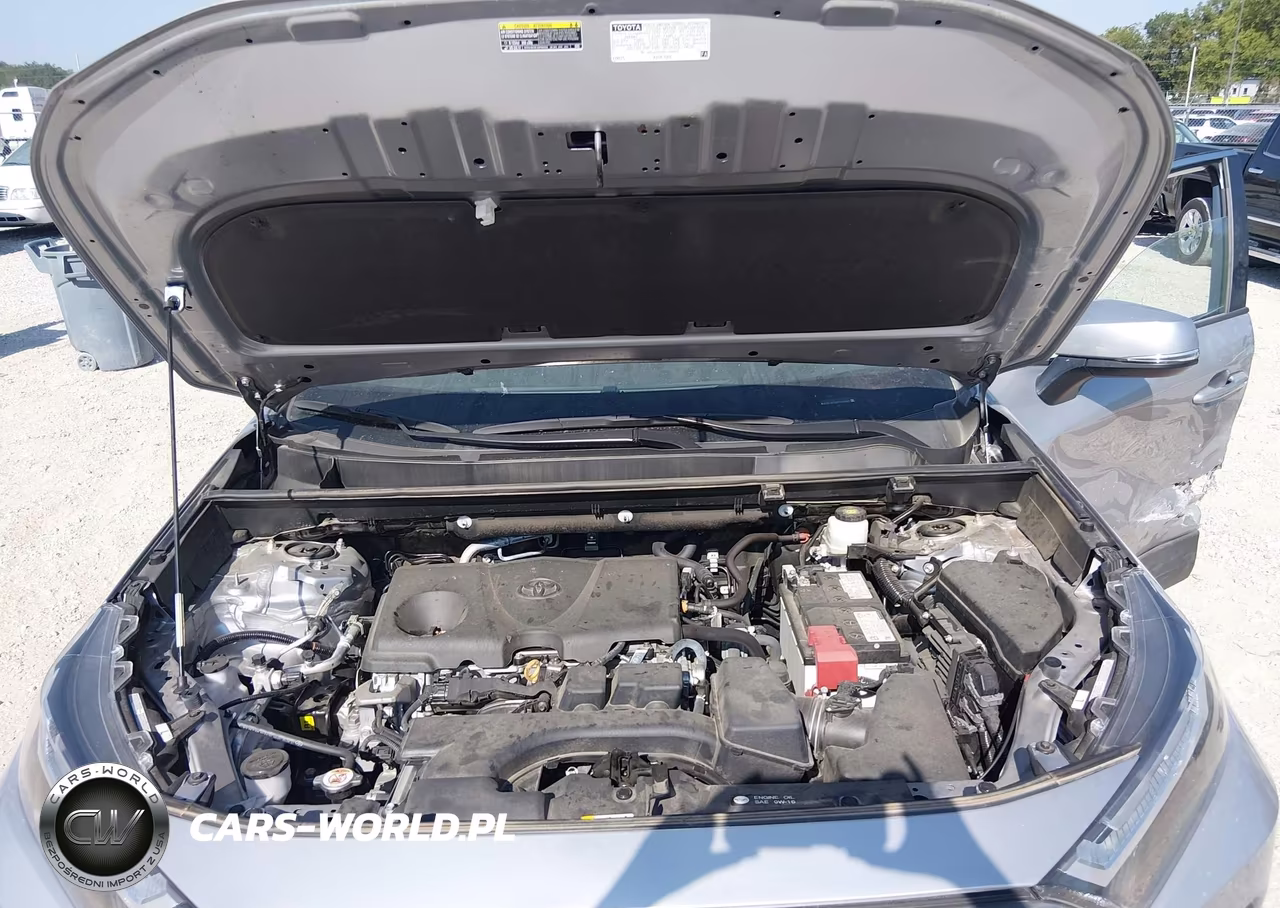 2024 Toyota Rav4 Xle VIN:2T3P1RFV6RC454492 - 10