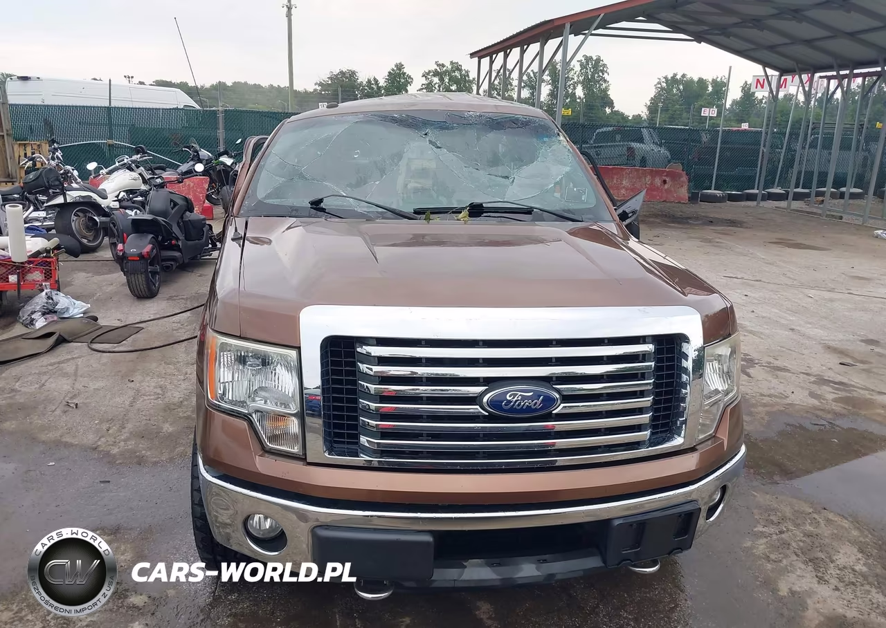 2011 Ford F-150 Xlt VIN:1FTFW1ET3BFC99842 - 12