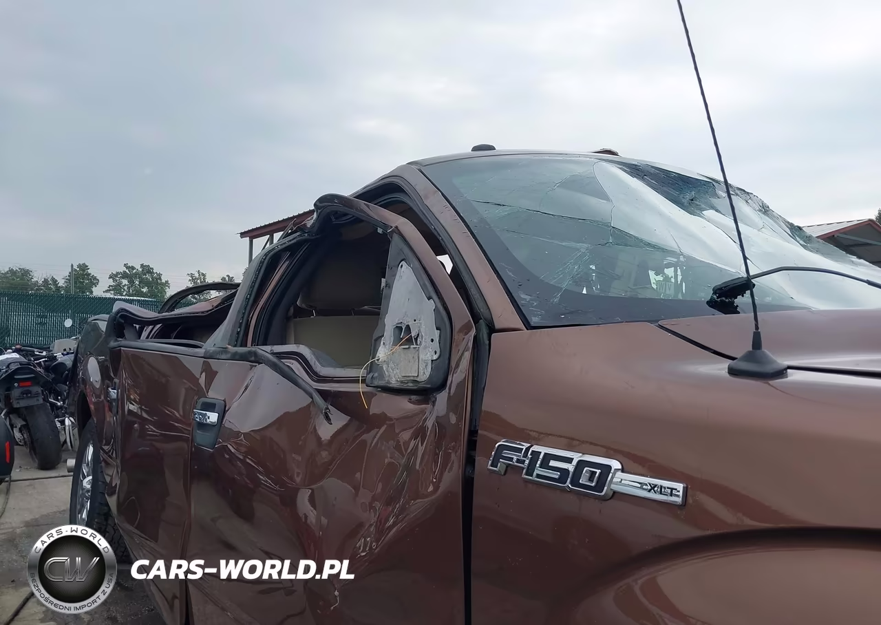 2011 Ford F-150 Xlt VIN:1FTFW1ET3BFC99842 - 19