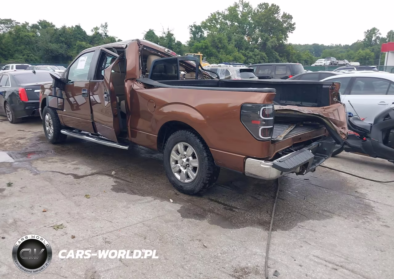 2011 Ford F-150 Xlt VIN:1FTFW1ET3BFC99842 - 3