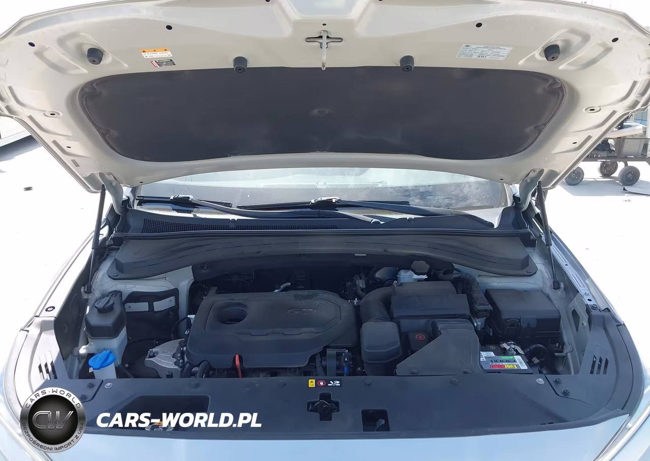 HYUNDAI SANTA FE VIN:5NMS33AD2LH210462 - 10