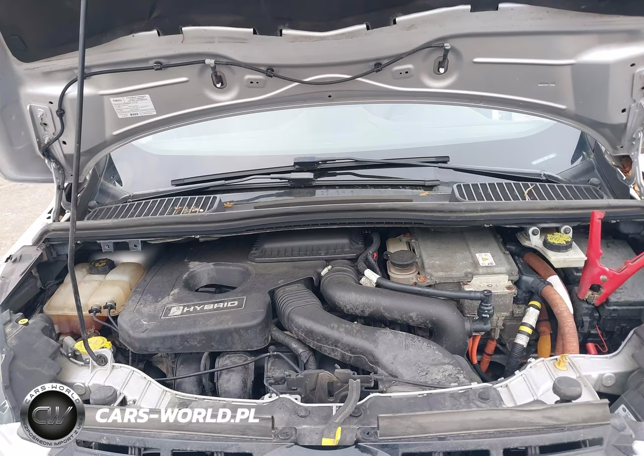2016 Ford C-Max Hybrid Se VIN:1FADP5AU1GL114597 - 10