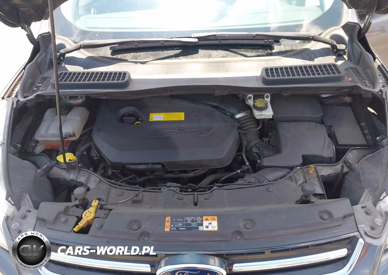 2016 Ford Escape Titanium VIN:1FMCU0JX5GUA30106 - 10