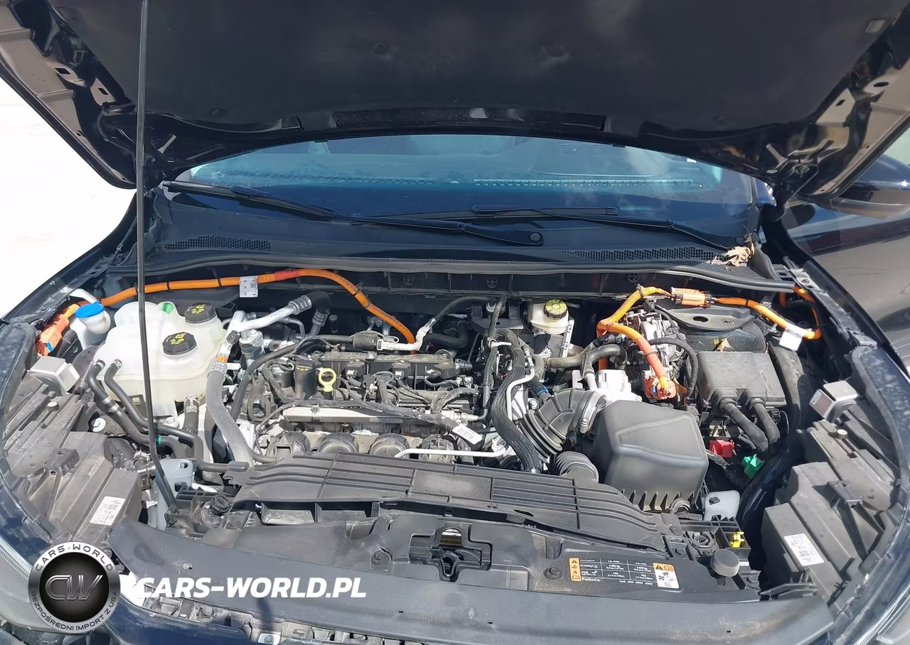 2025 Ford Escape Phev VIN:1FMCU0E18SUA19972 - 10