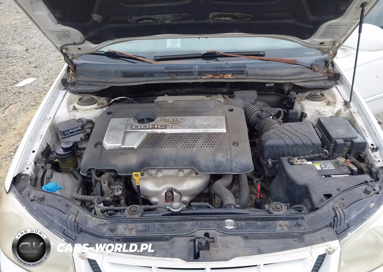 2005 Kia Spectra Ex-Lx-Sx VIN:KNAFE121855134107 - 10