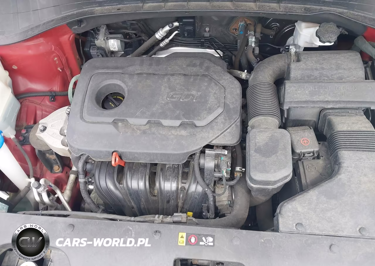 2019 Kia Sorento 2.4L Lx VIN:5XYPGDA39KG554791 - 10