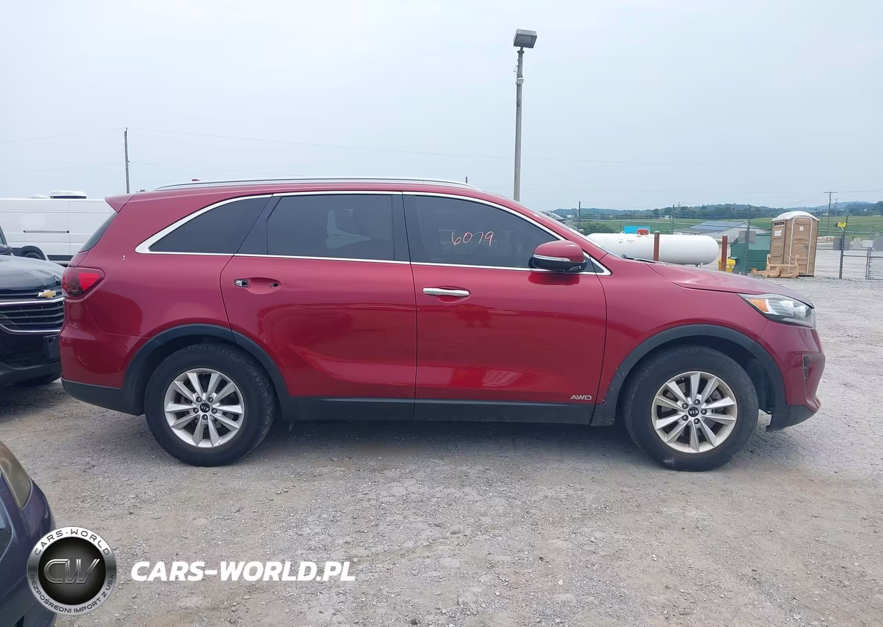 2019 Kia Sorento 2.4L Lx VIN:5XYPGDA39KG554791 - 13
