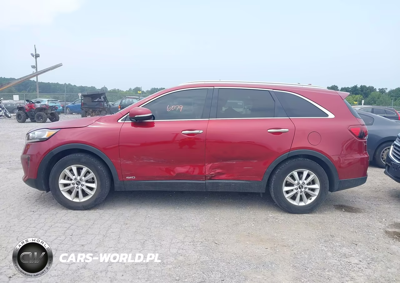 2019 Kia Sorento 2.4L Lx VIN:5XYPGDA39KG554791 - 14