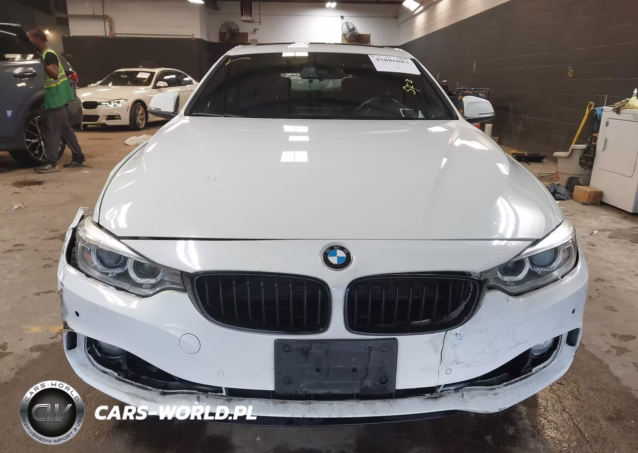 2017 BMW 430I Gran Coupe xDrive VIN:WBA4F9C39HG812407 - 12