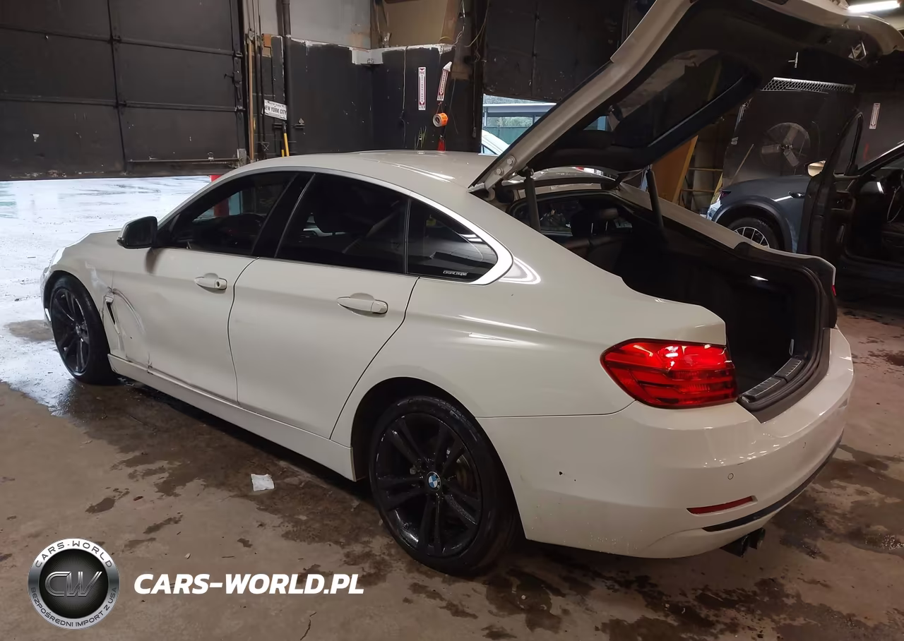 2017 BMW 430I Gran Coupe xDrive VIN:WBA4F9C39HG812407 - 3