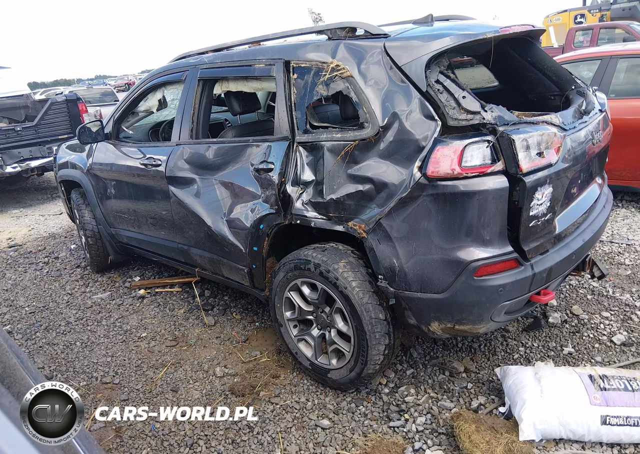 2021 Jeep Cherokee Trailhawk 4X4 VIN:1C4PJMBX0MD216300 - 3