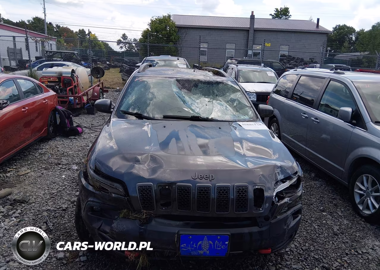 2021 Jeep Cherokee Trailhawk 4X4 VIN:1C4PJMBX0MD216300 - 6