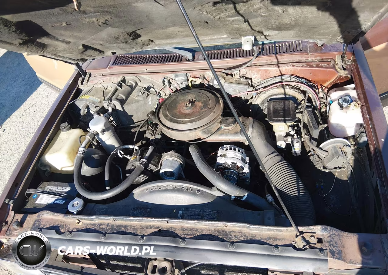 1989 Chevrolet S Truck S10 VIN:1GCCS14Z6K8126292 - 10