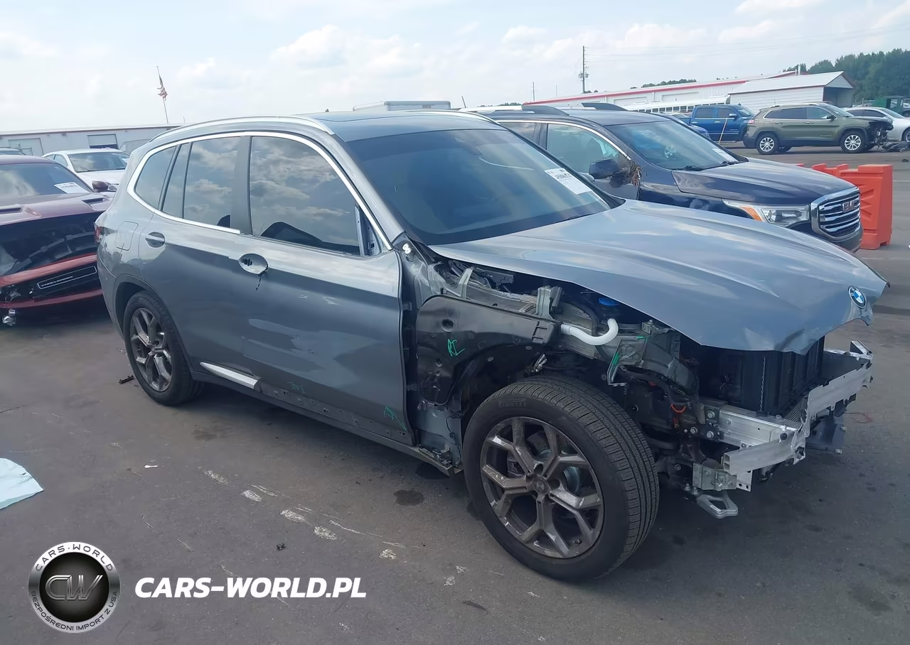 2023 BMW X3 Sdrive30I VIN:5UX43DP09P9P14929 - 1