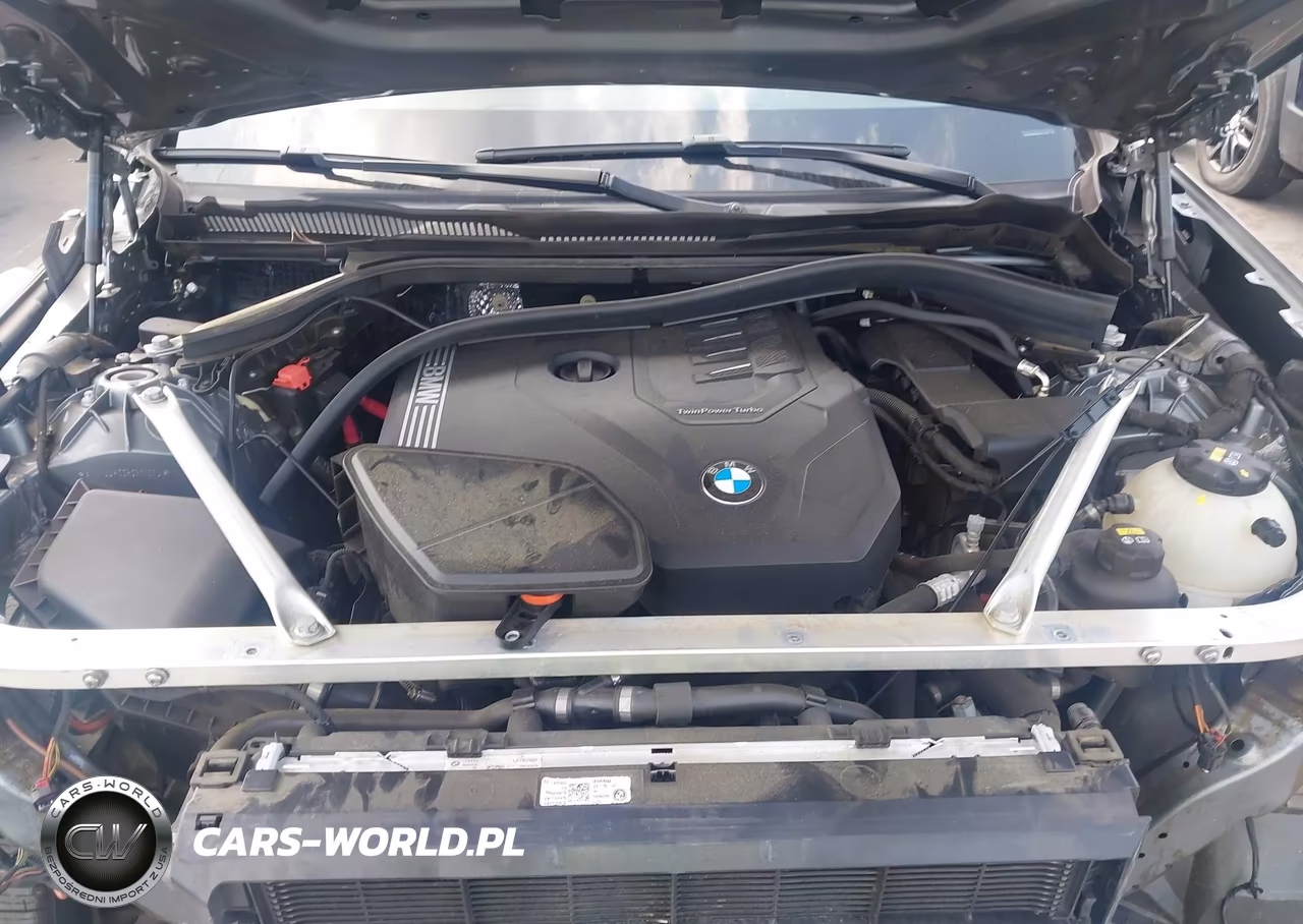 2023 BMW X3 Sdrive30I VIN:5UX43DP09P9P14929 - 10