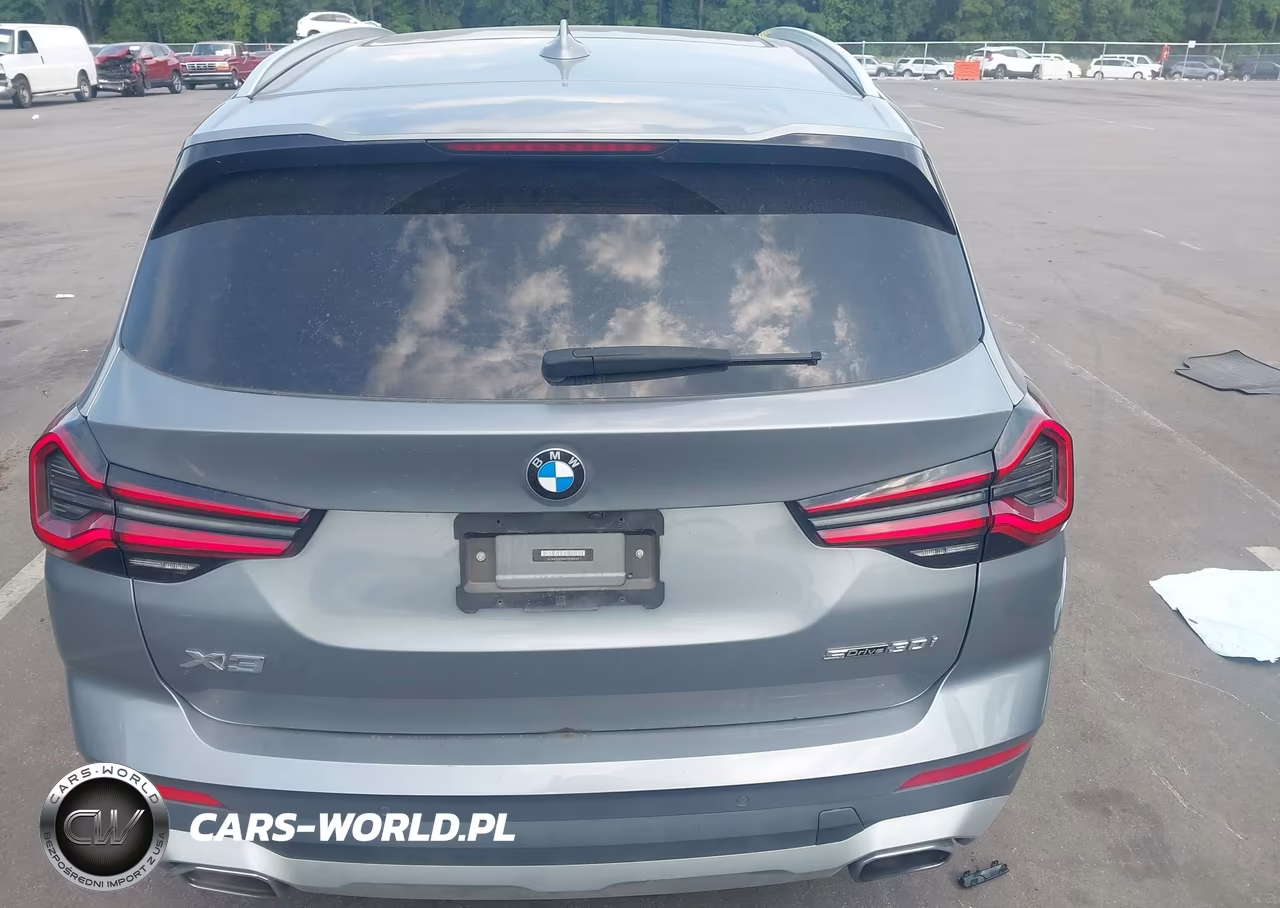 2023 BMW X3 Sdrive30I VIN:5UX43DP09P9P14929 - 17