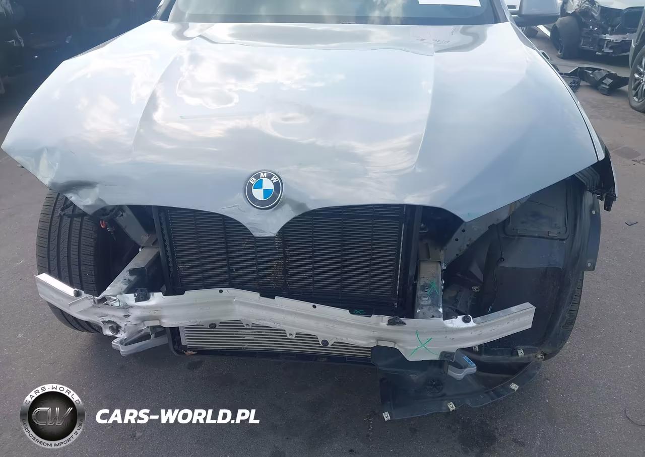 2023 BMW X3 Sdrive30I VIN:5UX43DP09P9P14929 - 6