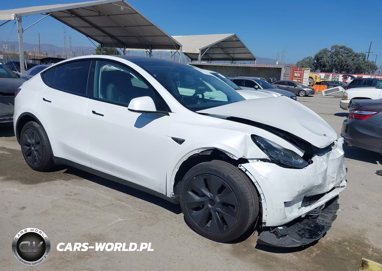 2024 Tesla Model Y Long Range Dual Motor All-Wheel Drive VIN:7SAYGDEE0RF177627 - 1