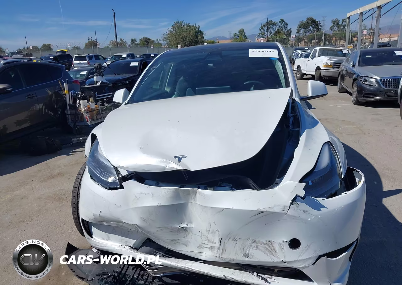 2024 Tesla Model Y Long Range Dual Motor All-Wheel Drive VIN:7SAYGDEE0RF177627 - 12