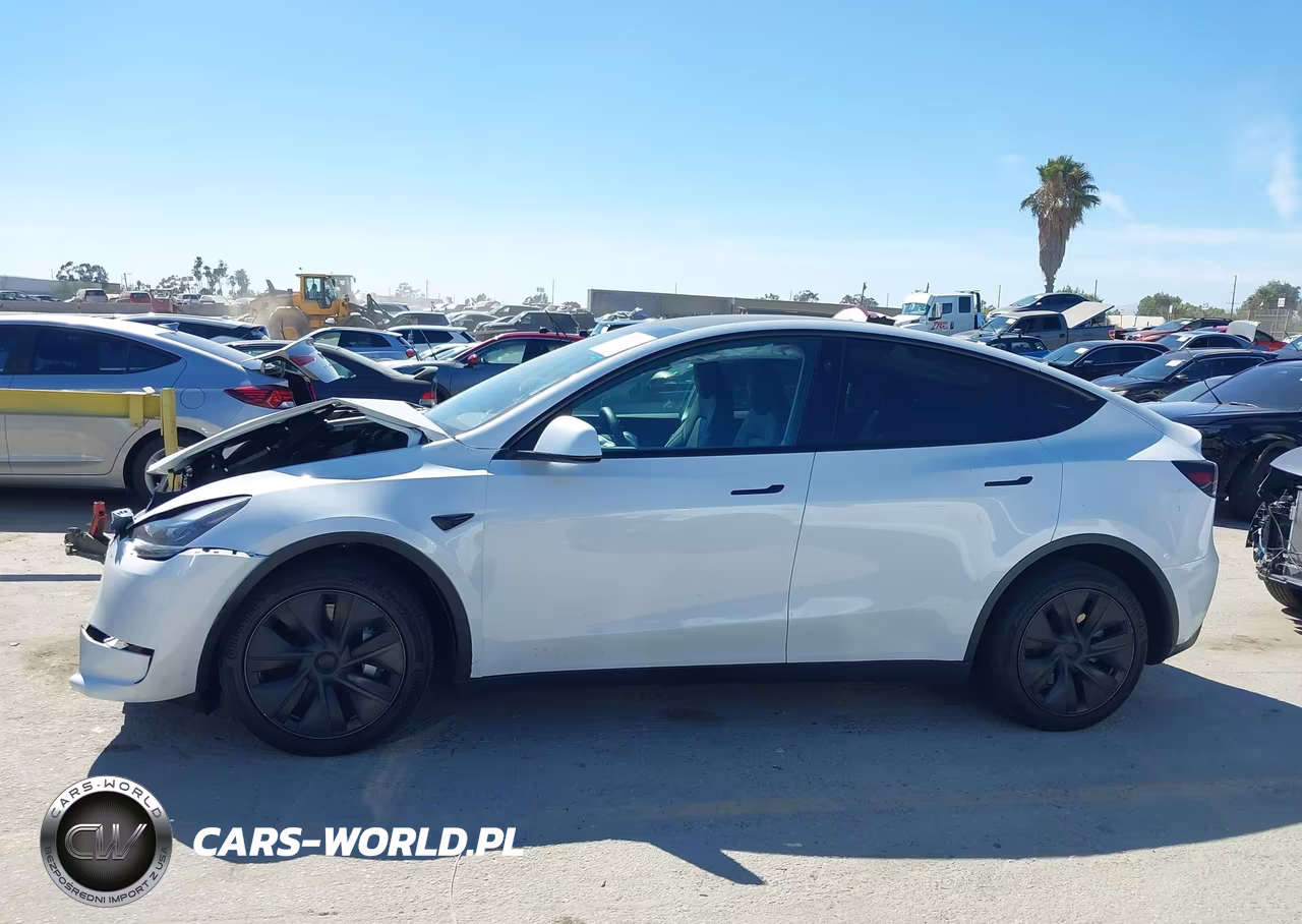 2024 Tesla Model Y Long Range Dual Motor All-Wheel Drive VIN:7SAYGDEE0RF177627 - 14